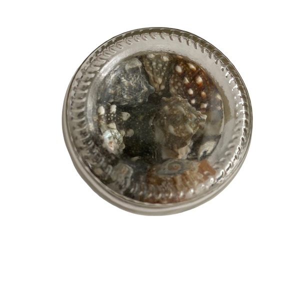 Seashells Mini decorations bottle - Picture 2 of 5